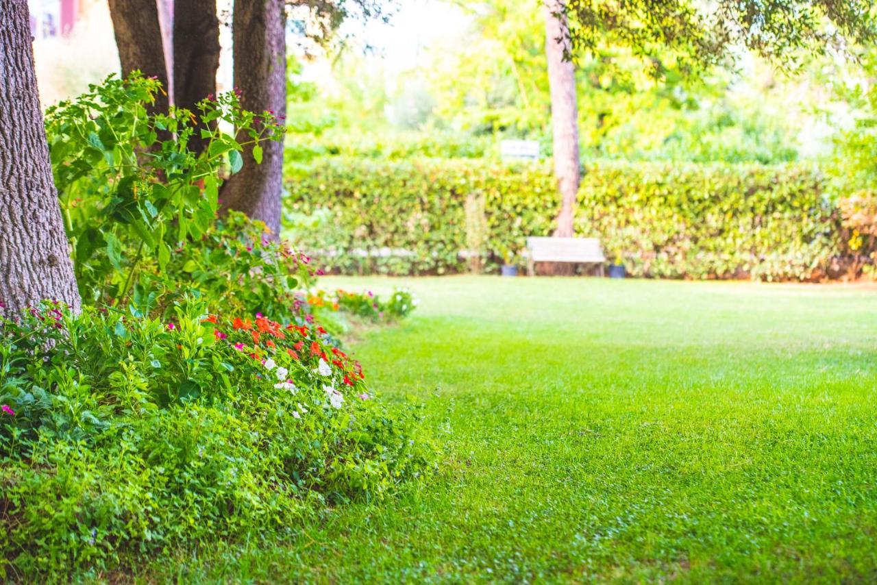 B&B Il Girasole Corciano Εξωτερικό φωτογραφία